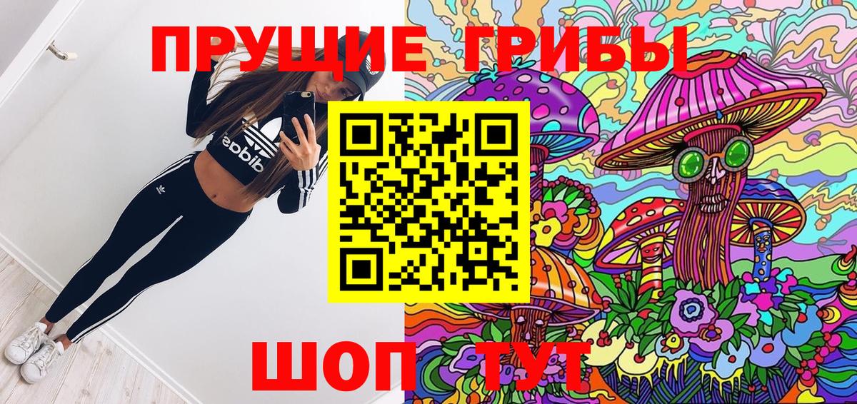 магазин продажи наркотиков  Галлюциногенные грибы MAGIC MUSHROOMS  Вход с VPN  Урюпинск 